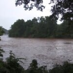 Officials Warn Of High E. Coli Levels In Chattahoochee River