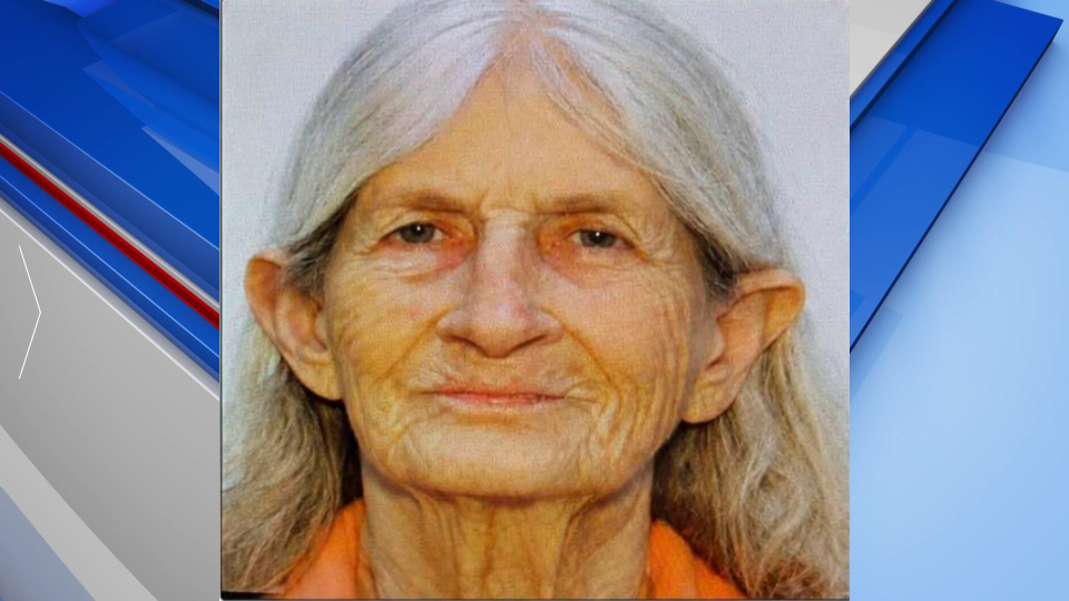 Twiggs Missing Woman Gfx