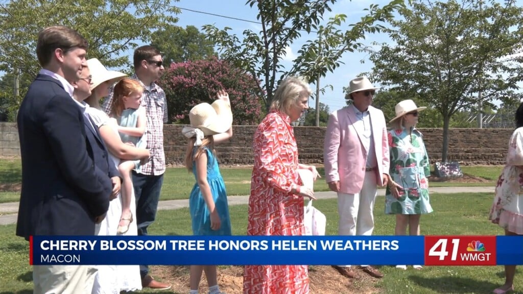 Cherry Blossom Tree Honors Longtime Macon Volunteer Helen Weathers