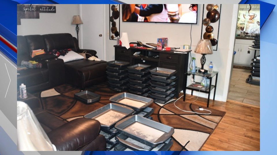 Oliver Jr Residence Gfx