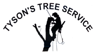 Tysons Tree Service
