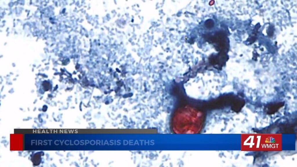 Michigan Reports First Deaths Linked To Cyclospora Outbreak