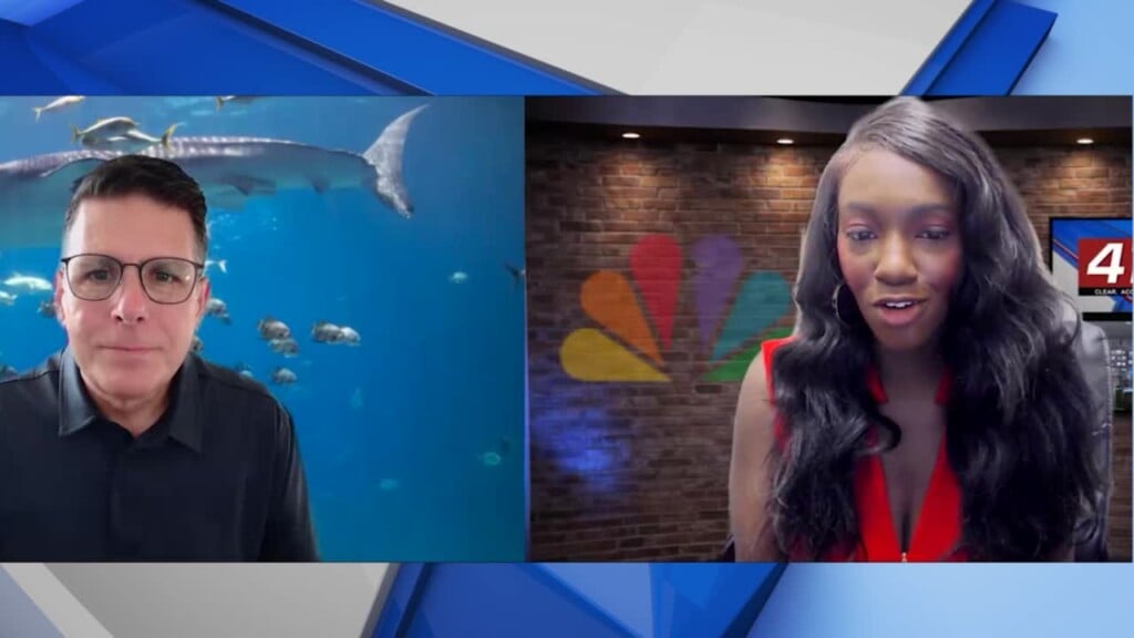 In The Know: Georgia Aquarium Offers Special Tuesday Ticket Deal For 2026