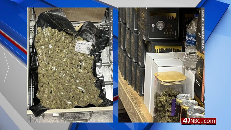 Thc Seizure Georgia Department Of Agriculture Yemeni Nationals Arrested