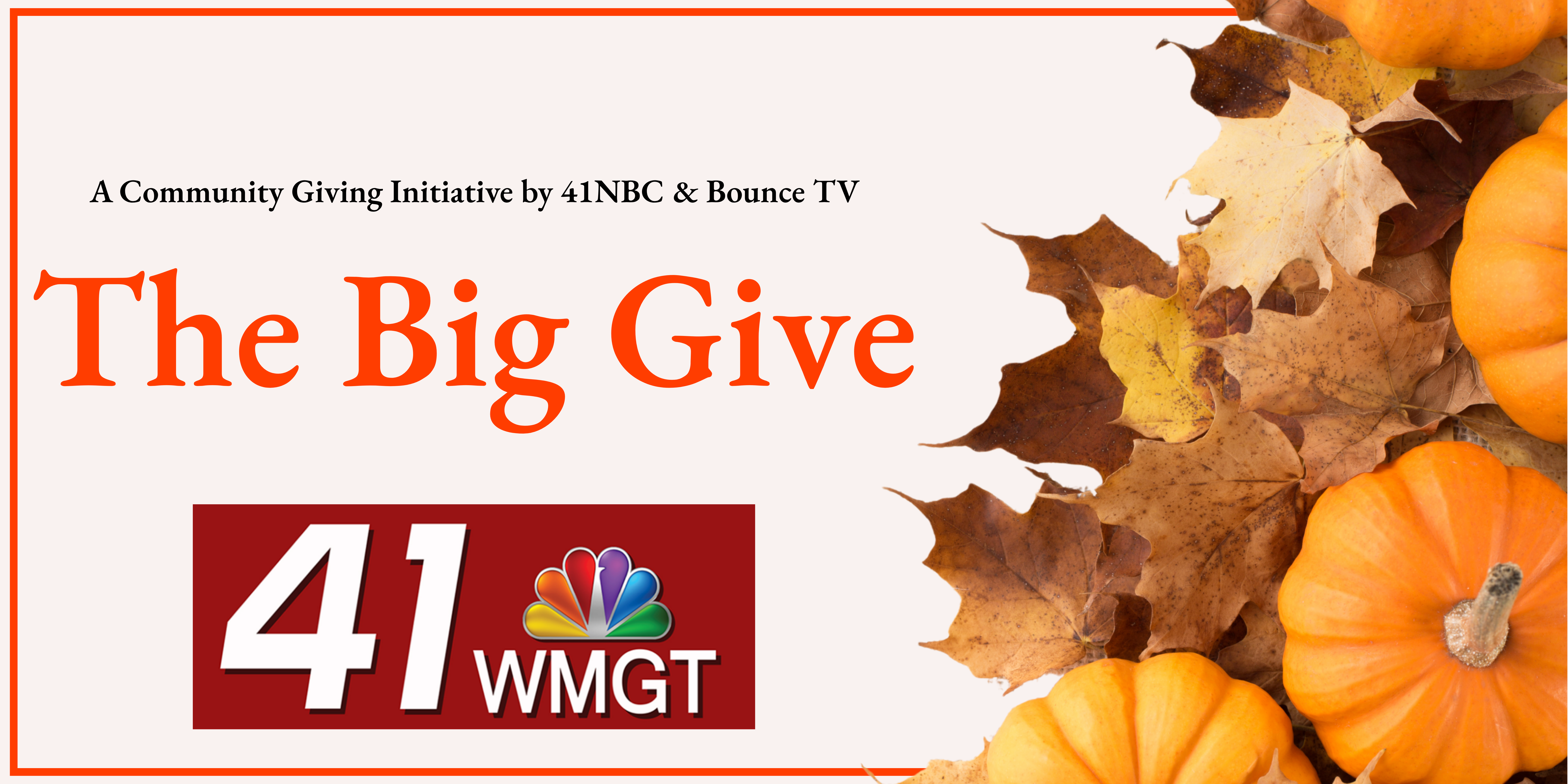 The Big Give Banner