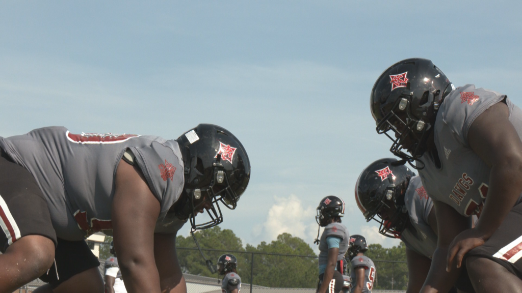 Macon County Bulldogs