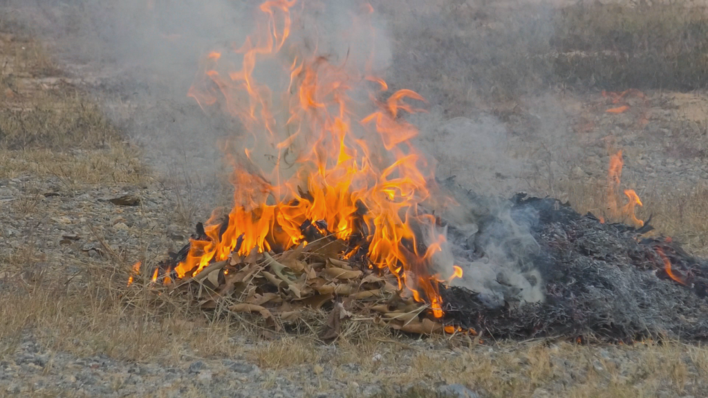 Burn Ban