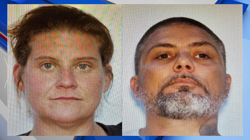 Reynolds Police Arrests Gfx