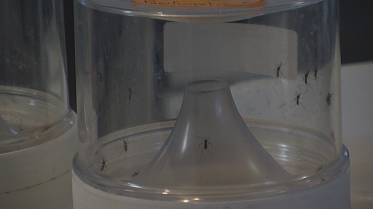 How first freeze may effect plants and mosquitoes