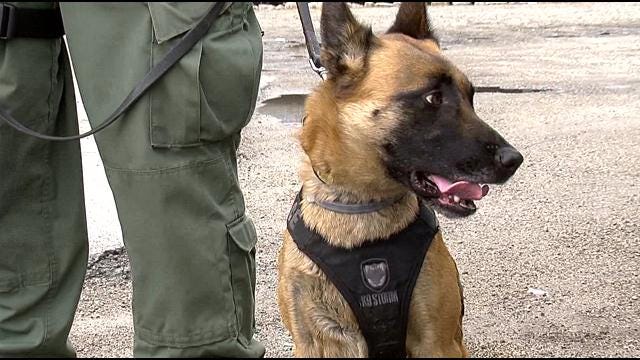 Providence officer and K9 to assist in Marathon Monday security