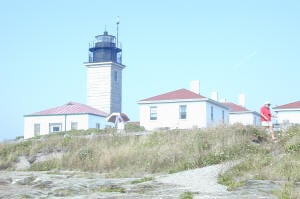 Beavertail