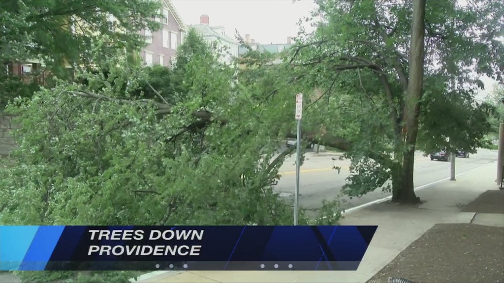 Trees Come Down In Isaias, Even After Strongest Winds End