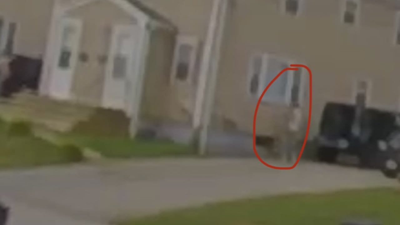 Camera captures car battery theft in broad daylight ABC6