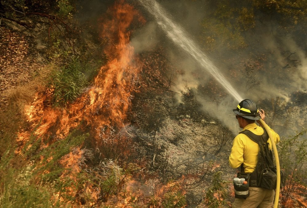 Wildfire 91020