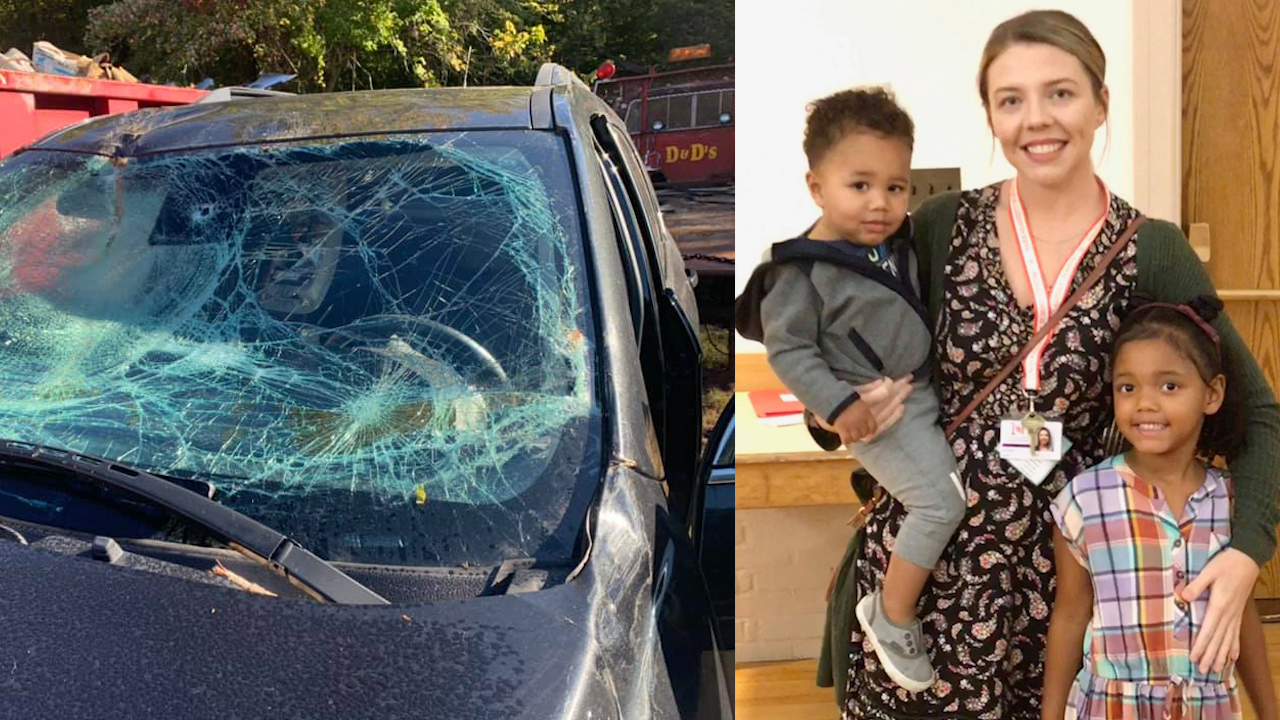North Kingstown mother says tree limb falls on car in freak accident ABC6