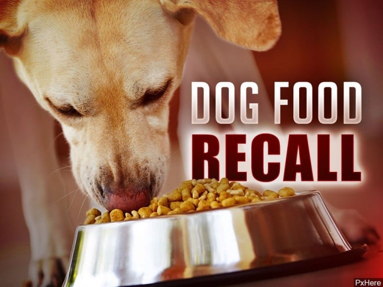 Pet dog hotsell food recall