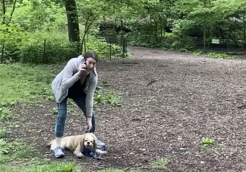 Racist Dog Woman