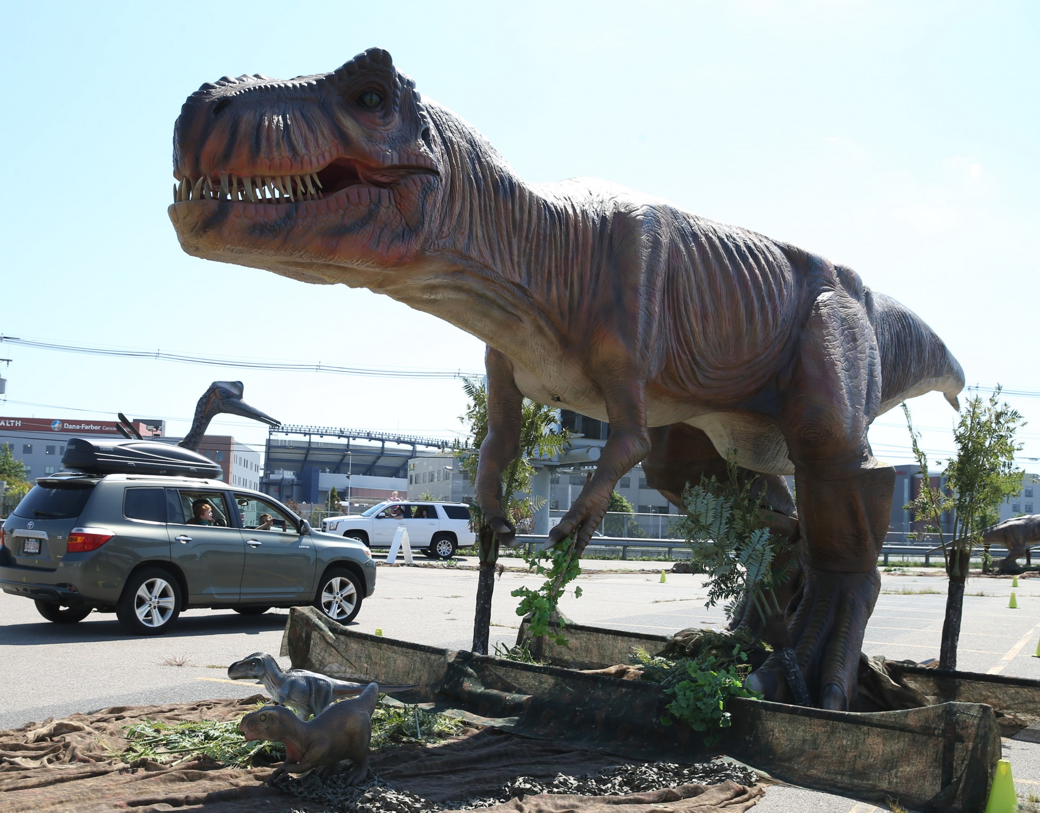 gillette stadium dinosaurs