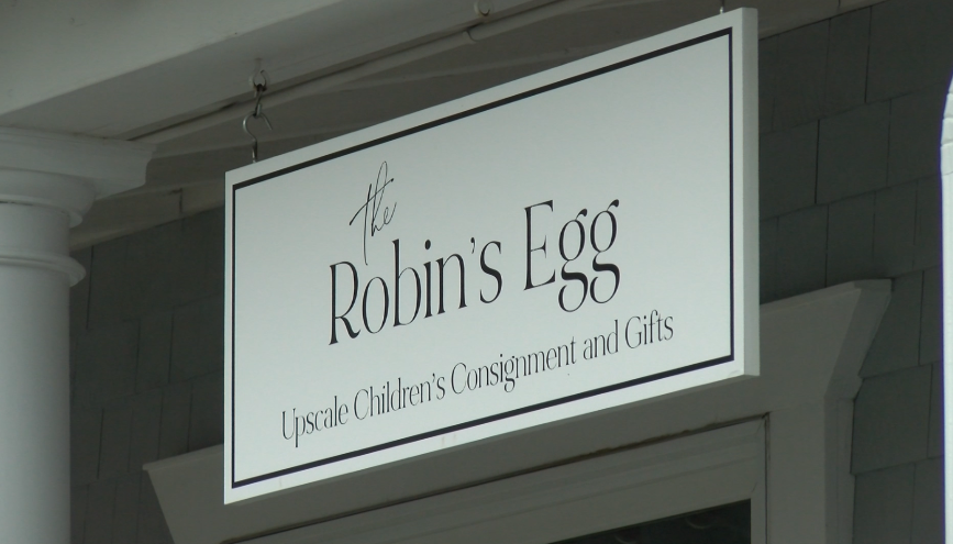 Robins Egg