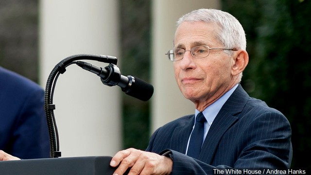 Fauci named commencement speaker for Roger Williams University | ABC6