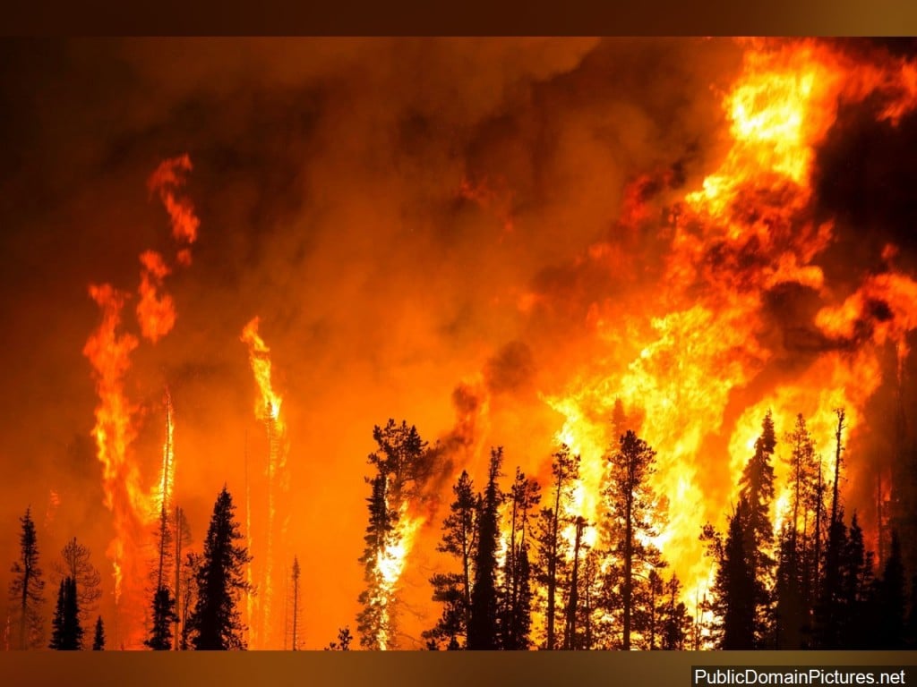 Wildfire Stock