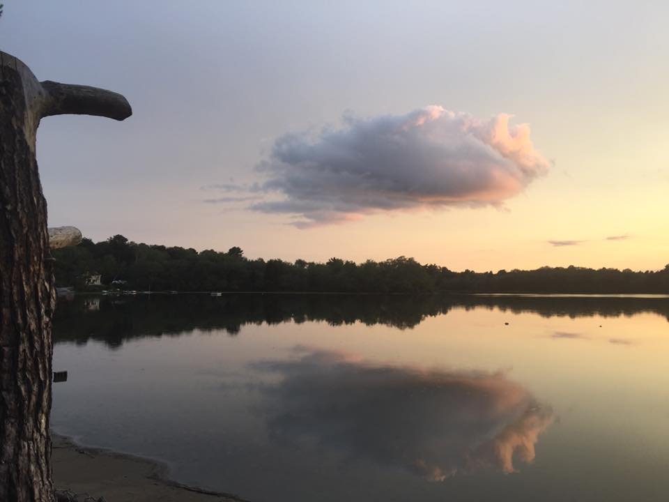 Larkin Pond