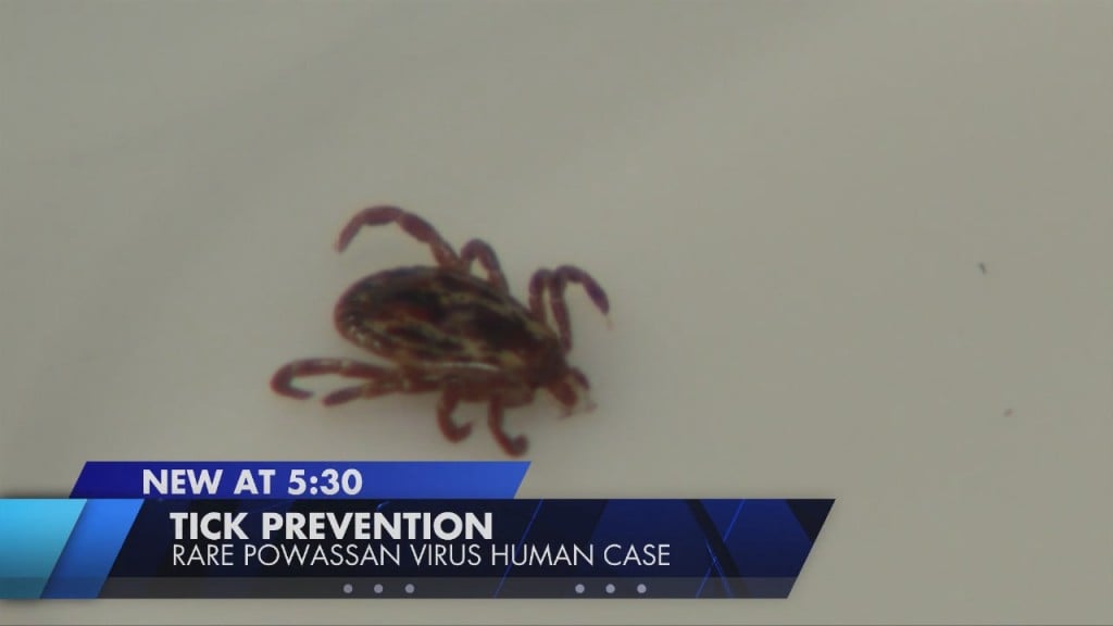 Rare Human Case Of Powassan Virus Serves As Reminder To Prevent Tick Exposure