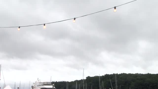 Hector Restaurants Weather