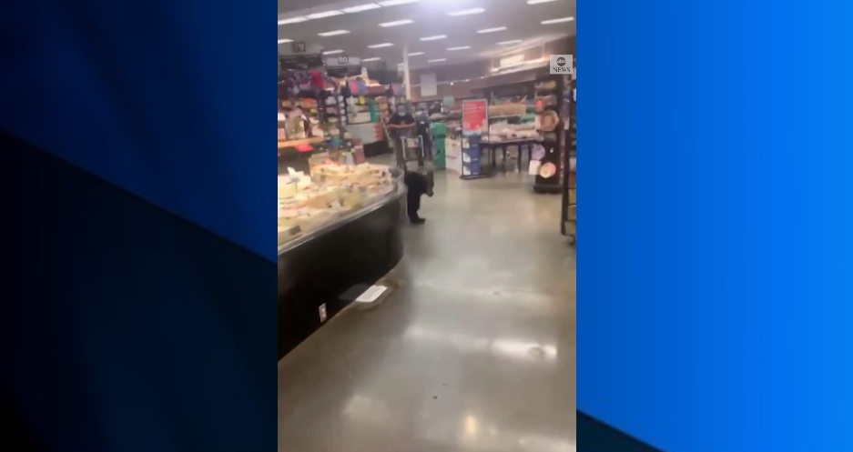 Bear In Store