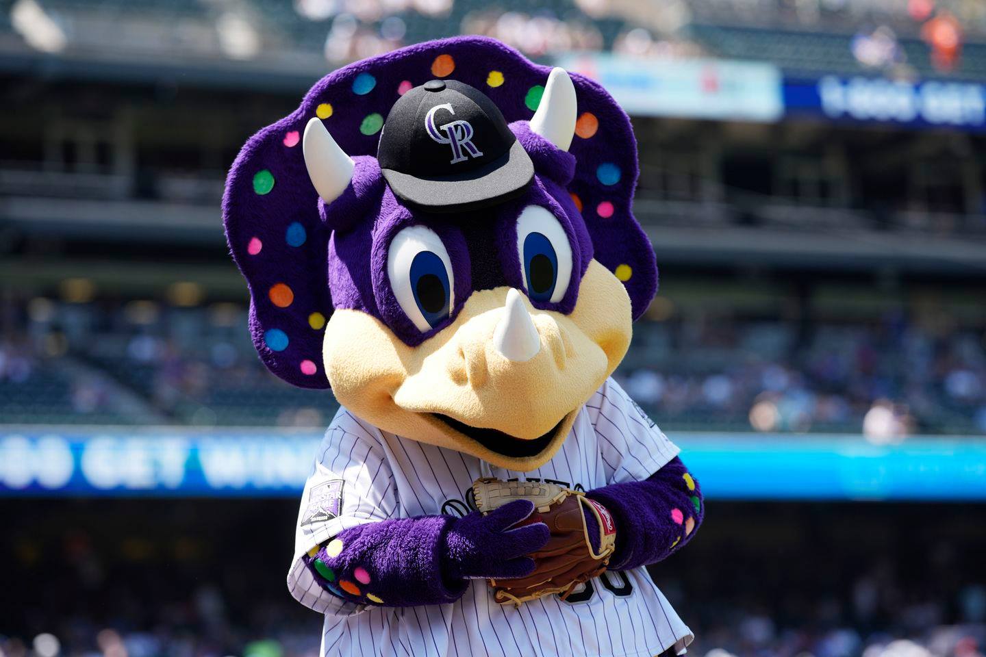 Colorado Rockies mascot Dinger the dinosaur, back, checks the