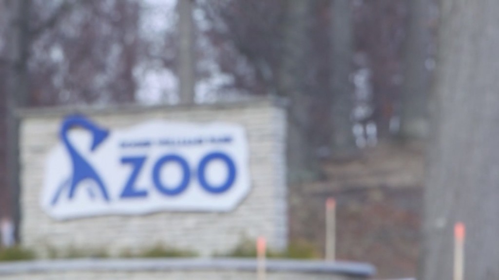 Rwu Zoo