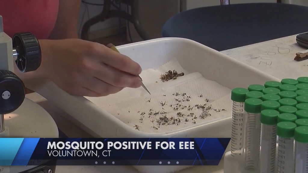 Eastern Equine Encephalitis (eee) Detected In Mosquito In Eastern Connecticut