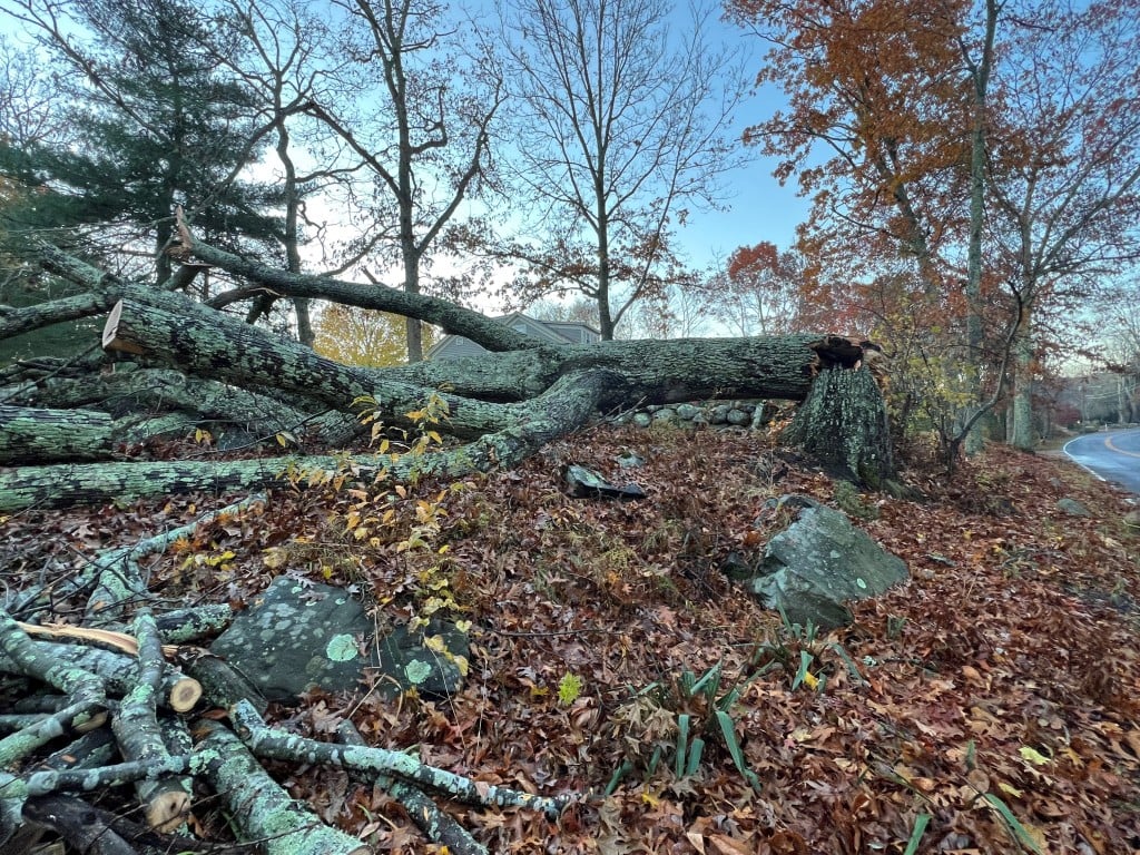 Damage In North Kingstown On Monday