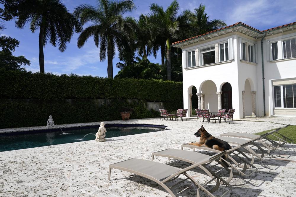 Dog Real Estate