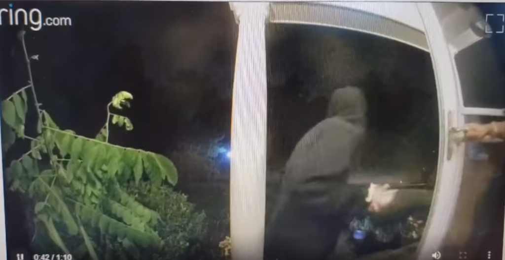 Candy Thief