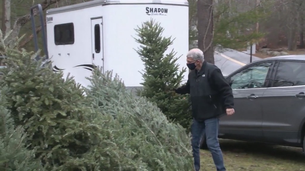 Cities & Towns Preparing To Collect Discarded Christmas Trees