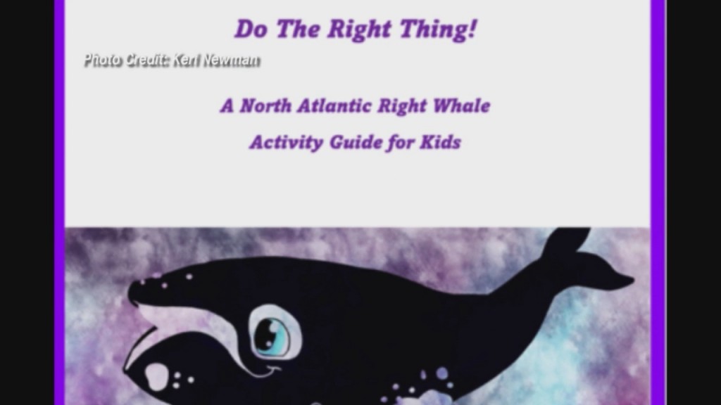 Rhode Island Author Releases Free Publication To Educate Children About North Atlantic Right Whales
