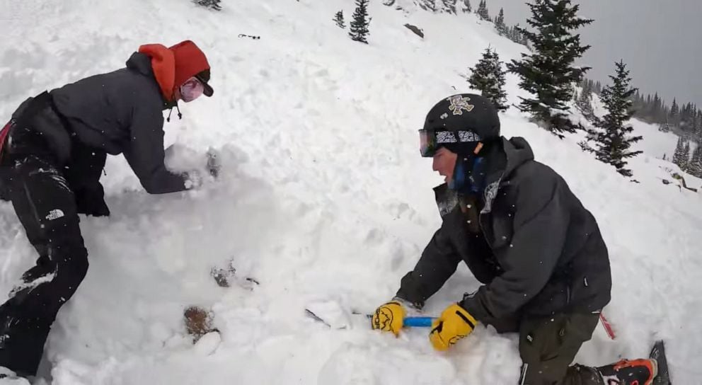 Kids Rescue Dog
