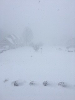 Snow In Greenville, RI From Chip Black