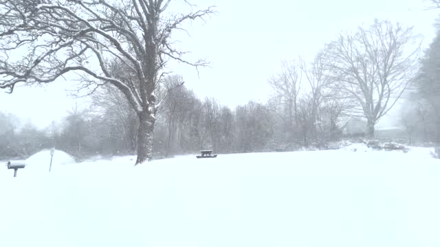 Middleboro Snow January 29, 2022