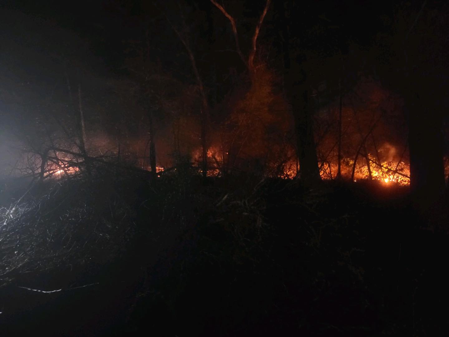How Do Power Lines Cause Fires at Richard Graham blog