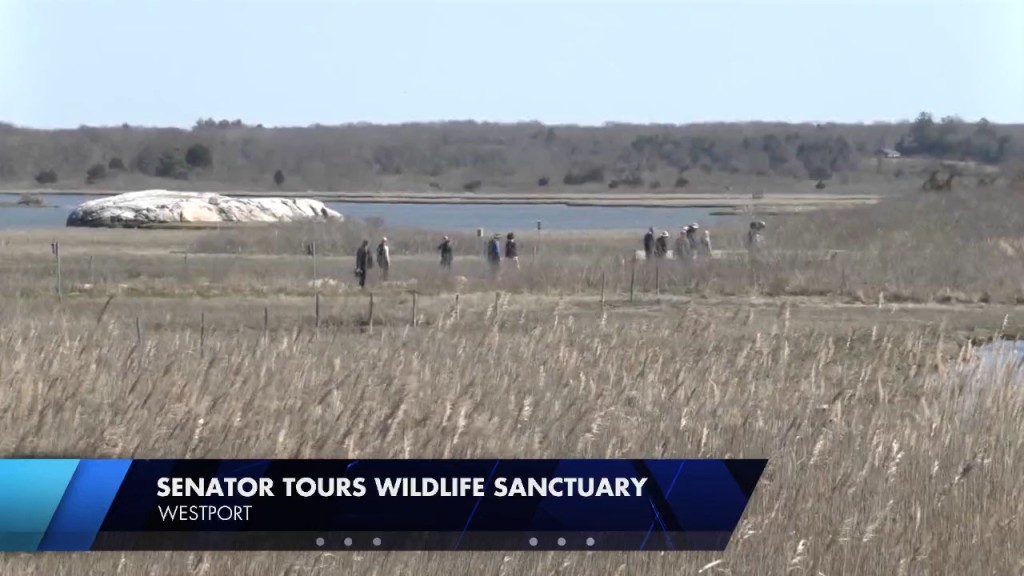 Massachusetts State Senator Tours Wildlife Sanctuary In Westport To Learn About Impacts Of Climate Change