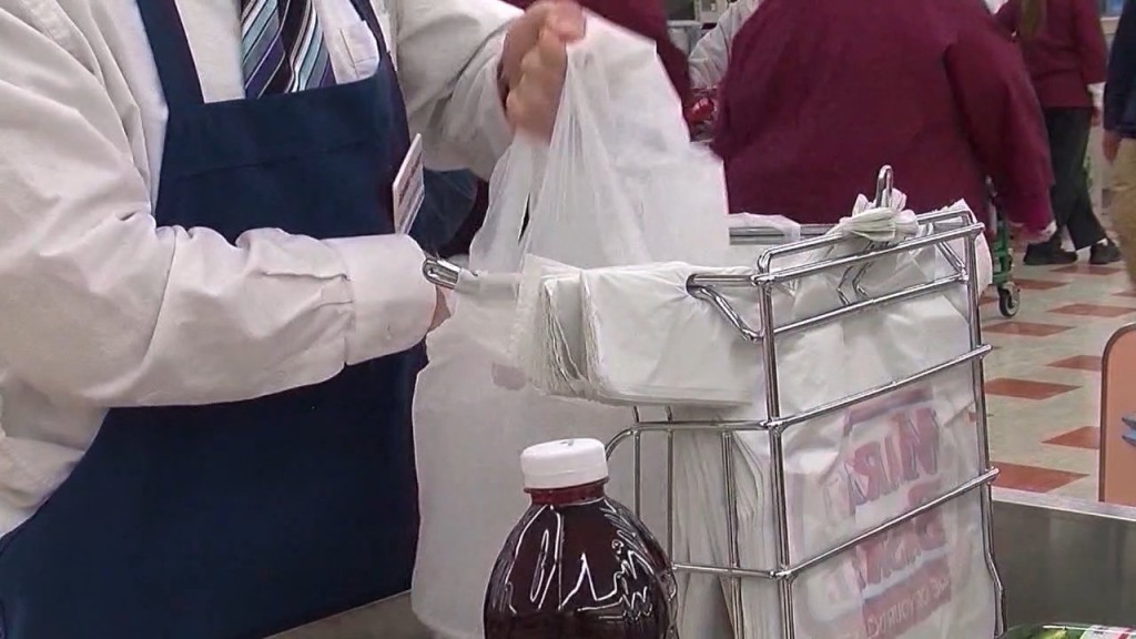 Plastic Bag Ban Vote