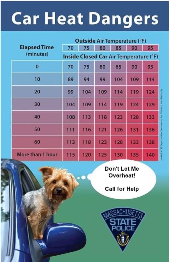 Massachusetts State Police remind car heat dangers for pets | ABC6