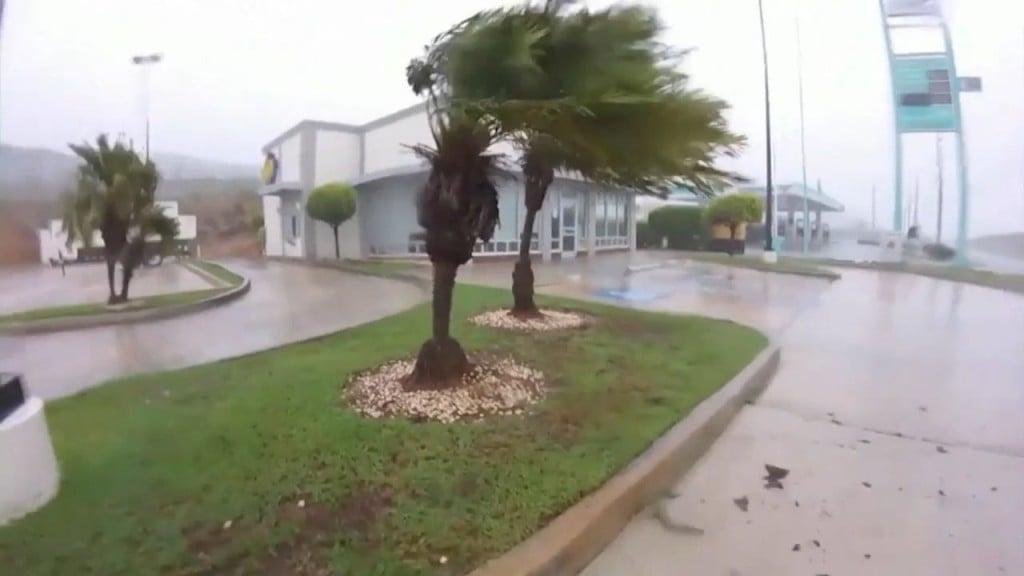 Rhode Island Puerto Rico Reax