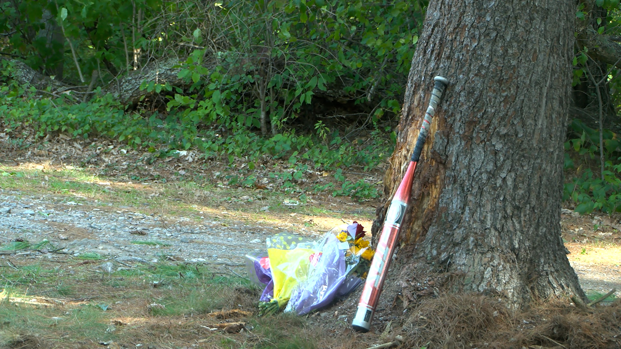 2 teens killed in Attleboro crash identified ABC6