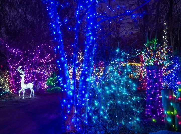 Zoo cancels Holiday Lights Spectacular for Sunday night