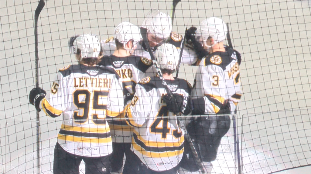 Pbruins 1 13