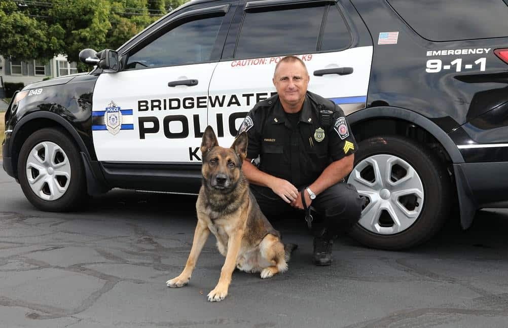 Bridgewater Police Department announces newest crew member: K-9 McKee ...