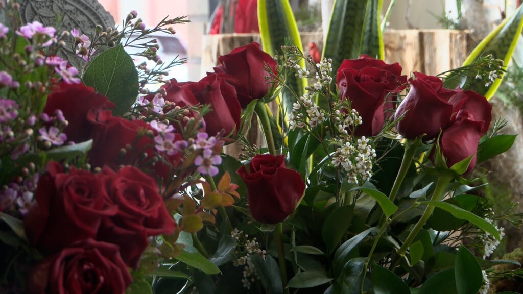 Roses Valentines Day